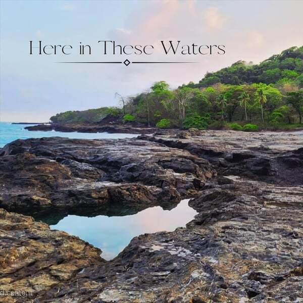 Cover art for Here in These Waters